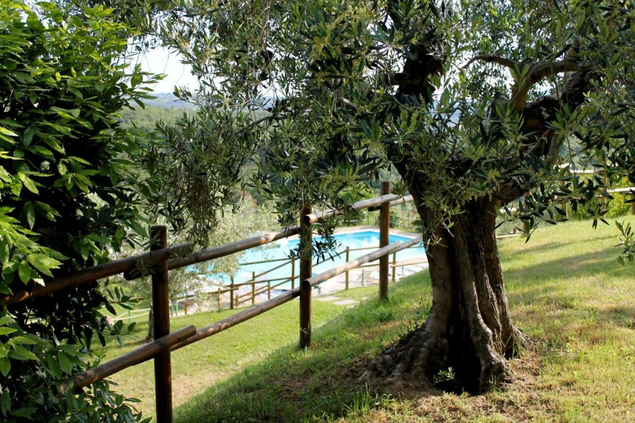 Agriturismo Malagronda Ravigliano Exterior photo